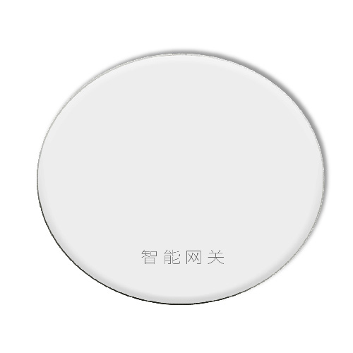 多功能网关 多功能网关